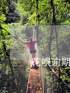 花唄逾期一天后還清還可以用嗎-