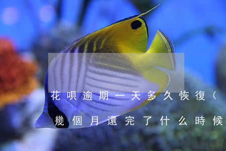 花唄逾期一天多久恢復(fù)(花唄逾期好幾個月還完了什么時候恢復(fù)正常)