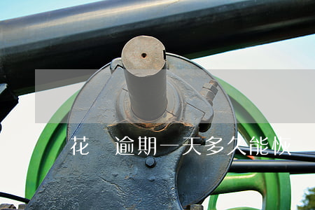 花唄逾期一天多久能恢復(fù)