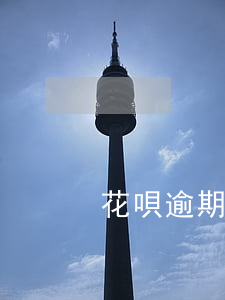花唄逾期一天多久解決
