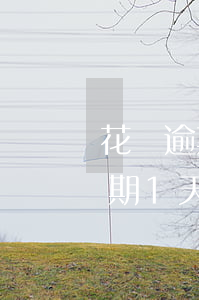 花唄逾期一天對招商銀行有影響嗎-花唄逾期1天會影響征信嗎