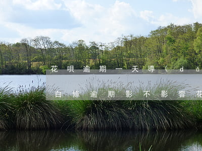 花唄逾期一天導(dǎo)致白條無法使用 白條逾期影不影響花唄