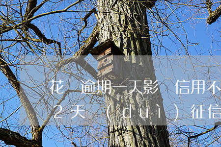 花唄逾期一天影響信用不(花唄不小心逾期了2天,對(duì)征信有影響嗎)
