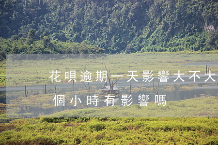 花唄逾期一天影響大不大(支付寶花唄逾期半個小時有影響嗎)