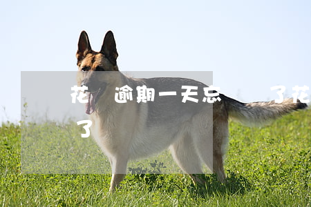 花唄逾期一天忘記還了(花唄逾期一天忘記還了)
