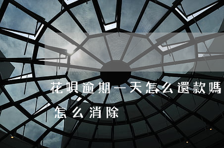 花唄逾期一天怎么還款嗎(借唄逾期一天還款怎么消除)