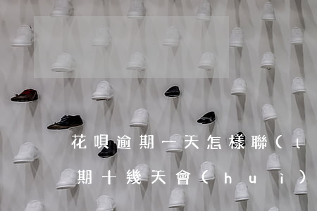花唄逾期一天怎樣聯(lián)系(花唄逾期十幾天會(huì)打電話給聯(lián)系人嗎)