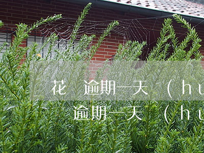 花唄逾期一天會(huì)影響備用金嗎(花唄逾期一天會(huì)影響備用金嗎)