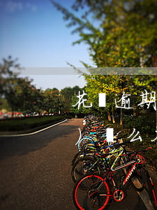花唄逾期一天會(huì)被關(guān)閉么(花唄逾期一天會(huì)被關(guān)閉么)