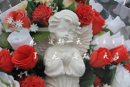 花唄逾期一天會(huì)關(guān)了嗎(花唄逾期幾天后還清了是不是就沒(méi)事了)