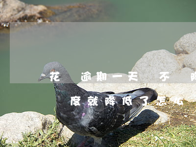 花唄逾期一天會不會降額(螞蟻借唄逾期一天額度就降低了怎么辦)