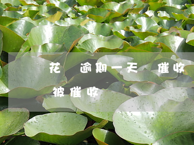 花唄逾期一天會催收嗎(支付寶花唄逾期幾天被催收)