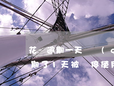 花唄逾期一天會關(guān)閉么(花唄逾期了1天被暫停使用要多久才能恢復(fù))