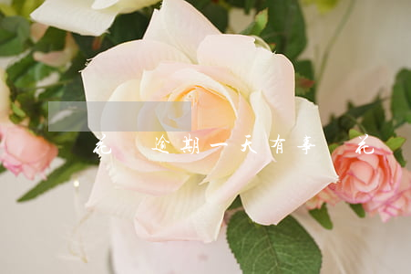 花唄逾期一天有事嗎(花唄逾期一天有事嗎)