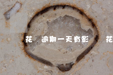 花唄逾期一天有影響嗎(花唄逾期一天有影響嗎)