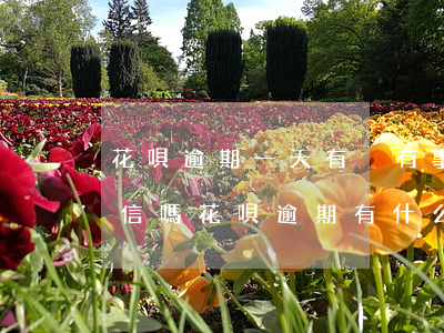 花唄逾期一天有沒有事情(花唄逾期1天上征信嗎?花唄逾期有什么后果)