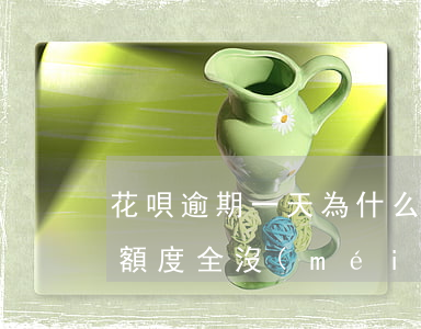 花唄逾期一天為什么網(wǎng)商貸的額度全沒(méi)了?-網(wǎng)商貸逾期4天,額度為0,螞蟻花唄有額度但是不能用啦