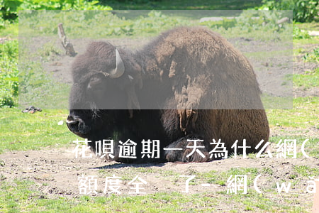 花唄逾期一天為什么網(wǎng)商貸的額度全沒了?-網(wǎng)商貸逾期4天,額度為0,螞蟻花唄有額度但是不能用啦