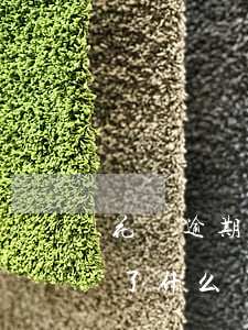 花唄逾期一天無法使用(花唄逾期1天不能用了什么時候恢復(fù)可以用)