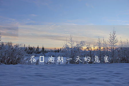 花唄逾期一天的危害