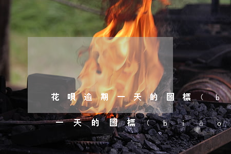 花唄逾期一天的圖標(biāo)（花唄逾期一天的圖標(biāo)）