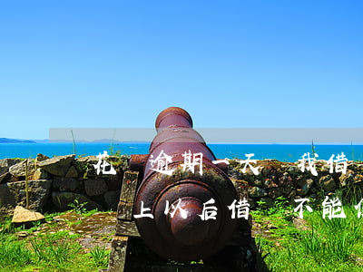 花唄逾期一天給我借唄提額了 花唄逾期兩天還上以后借唄不能使用了