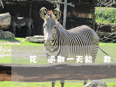 花唄逾期一天能貸款嗎(花唄逾期一天能貸款嗎)