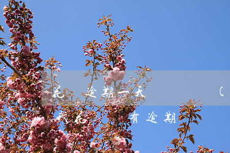 花唄逾期一天賬戶凍結(jié)了(為什么我花唄沒有逾期,賬戶給我凍結(jié)了)