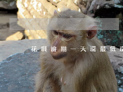 花唄逾期一天還最低還款能行嗎-