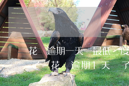 花唄逾期一天還最低額度咋沒(méi)有了-花唄逾期1天還了最低還款可以繼續(xù)使用嗎
