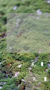 花唄逾期一天還款后借唄能用嗎(花唄逾期1天還了之后還了還能用嗎)