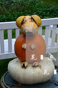 花唄逾期一天還款后會(huì)上征信嗎-花唄逾期1天還了之后會(huì)影響信用嗎