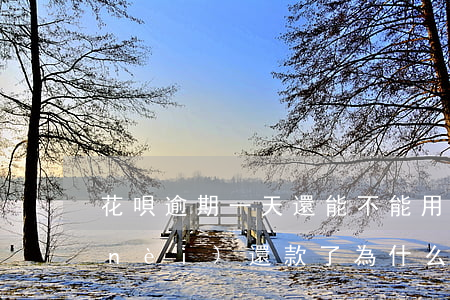 花唄逾期一天還能不能用(花唄逾期7天內(nèi)還款了為什么還不能用)