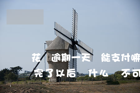 花唄逾期一天還能支付嘛(花唄逾期了幾天還完了以后為什么還不可以使用)