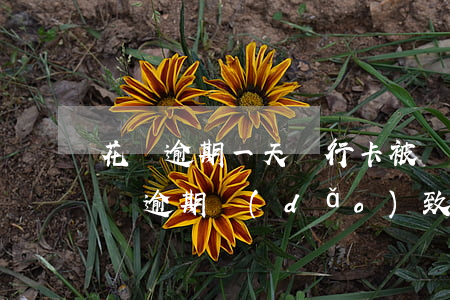 花唄逾期一天銀行卡被凍結(jié)了(花唄逾期導(dǎo)致花唄凍結(jié)了多久能恢復(fù)?)