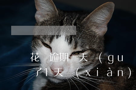 花唄逾期一天關(guān)掉了(花唄逾期了1天現(xiàn)在還了,會(huì)影響征信嗎)