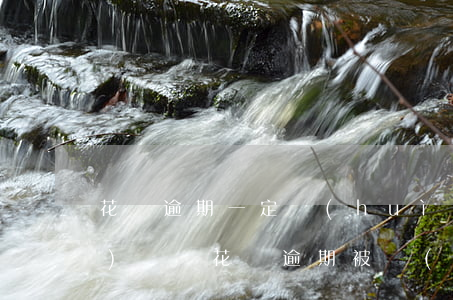 花唄逾期一定會(huì)被關(guān)閉嗎(花唄逾期被關(guān)閉了,是不是被系統(tǒng)清零了)