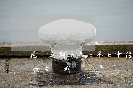 花唄逾期一年上不上中信(花唄晚還2天對征信有無影響)