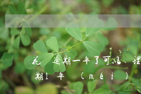 花唄逾期一年了可以辦理信用卡嗎-花唄逾期1年沒(méi)還,還可以分期還嗎?