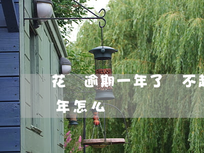 花唄逾期一年了還不起(支付寶花唄逾期了半年怎么辦)
