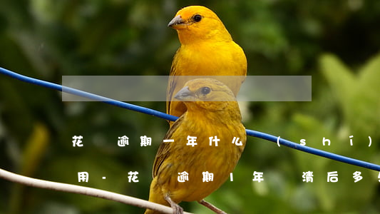 花唄逾期一年什么時(shí)候才可以使用-花唄逾期1年還清后多久才能恢復(fù)使用