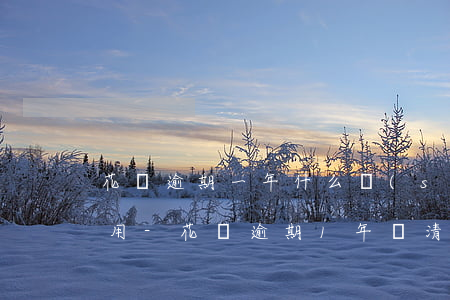 花唄逾期一年什么時(shí)候能再次使用-花唄逾期1年還清后多久才能恢復(fù)使用