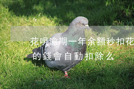 花唄逾期一年余額秒扣(花唄逾期了銀行卡里的錢會自動扣除么)