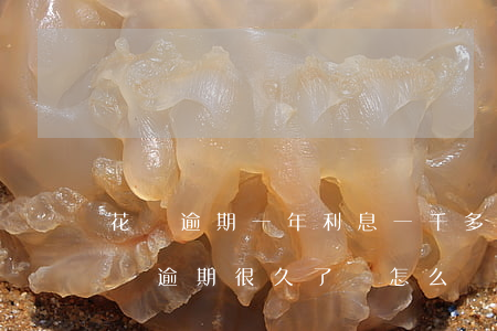 花唄逾期一年利息一千多(花唄1000多沒還逾期很久了會怎么樣?)