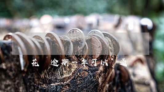 花唄逾期一年可以開通嗎