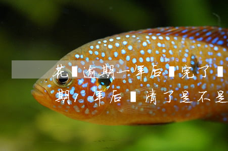 花唄逾期一年后還完了還能再借嘛-花唄逾期1年后還清了是不是就沒事了