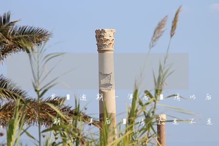 花唄逾期一年后還清以后還能用嗎-花唄逾期1年后還清了是不是就沒事了
