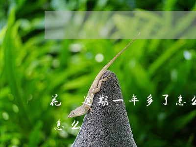 花唄逾期一年多了怎么還(花唄逾期一年多了怎么還)
