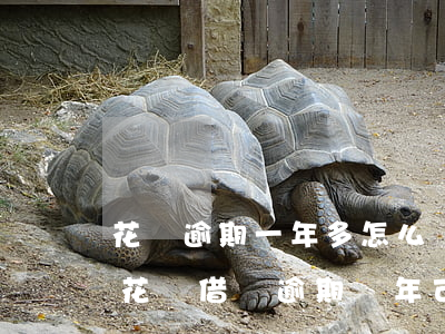花唄逾期一年多怎么協(xié)商還款-花唄借唄逾期幾年可以協(xié)商慢慢還嗎?