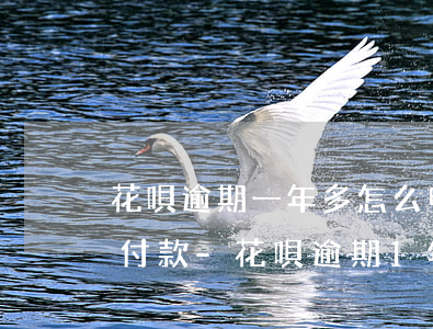 花唄逾期一年多怎么申請(qǐng)分期付款-花唄逾期1年還清后多久才能恢復(fù)使用